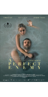 A Perfect Enemy (2020 - English)