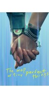 The Map of Tiny Perfect Things (2021 - English)