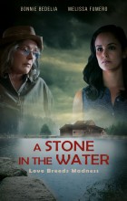 A Stone in the Water (2020 - English)