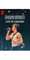 Shawn Mendes Live in Concert (2020 - English)